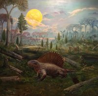 dimetrodon_1648624101.jpg