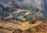 helicoprion_1648623030.jpg