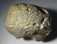 pyrocystites-pirum-ordovik-osek-3_1623835259.jpg